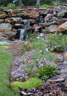 xeriscape landscape